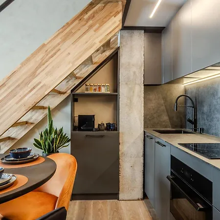 Apartment Rusty Wave Loft In