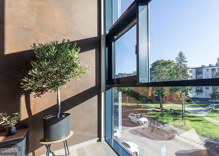 Apartment Rusty Wave Loft In *